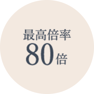 最高倍率80倍